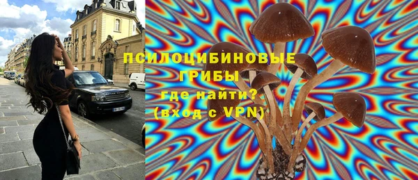 PSILOCYBIN Бронницы