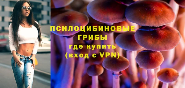 PSILOCYBIN Бронницы