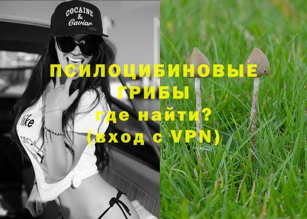 PSILOCYBIN Бронницы